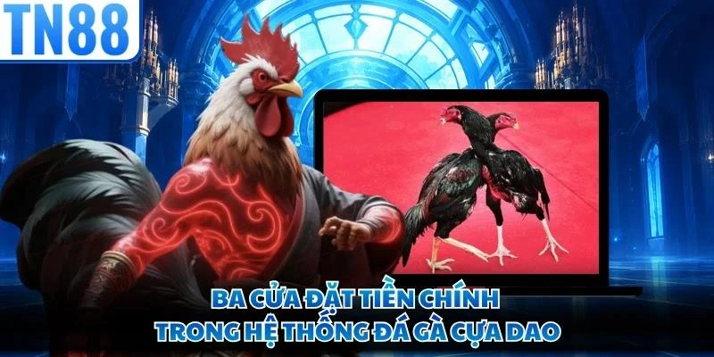 Ba cửa đặt tiền chính trong hệ thống đá gà cựa dao