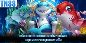 Cách Chơi Casino Luôn Thắng - Học Ngay 3 Mẹo Hay Này