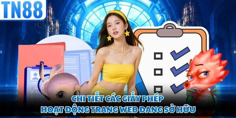 Chi tiết các giấy phép hoạt động trang web đang sở hữu