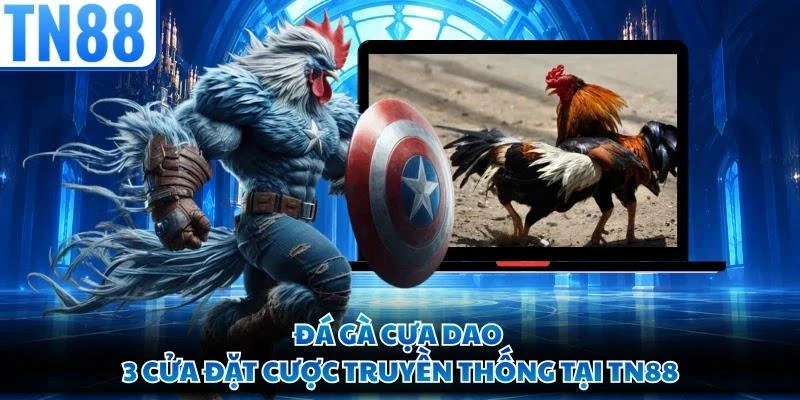 Đá Gà Cựa Dao - 3 Cửa Đặt Cược Truyền Thống Tại TN88