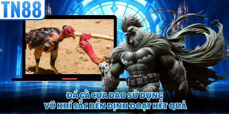 Đá gà cựa dao sử dụng vũ khí sắc bén định đoạt kết quả